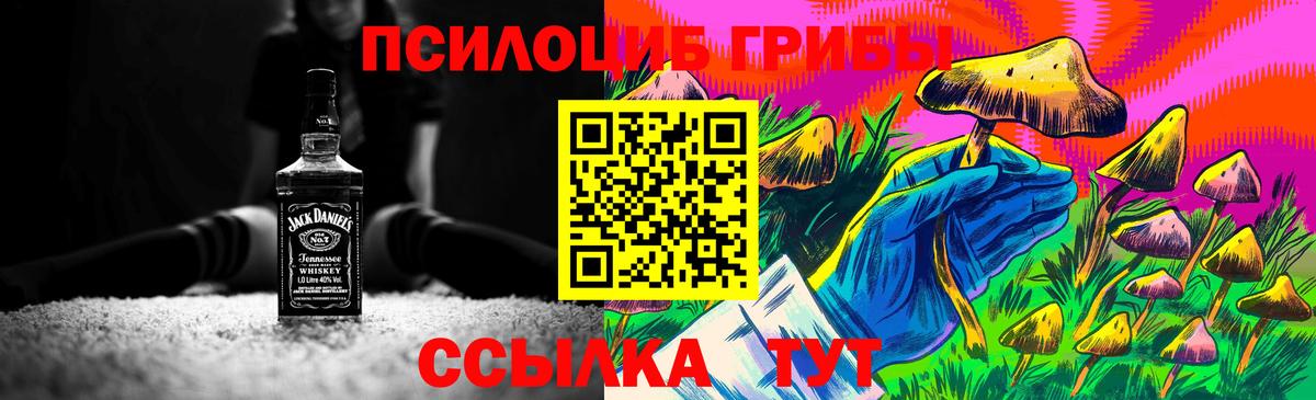 Псилоцибиновые грибы прущие грибы  Галлюциногенные грибы Cubensis  Нальчик  Вход с VPN 